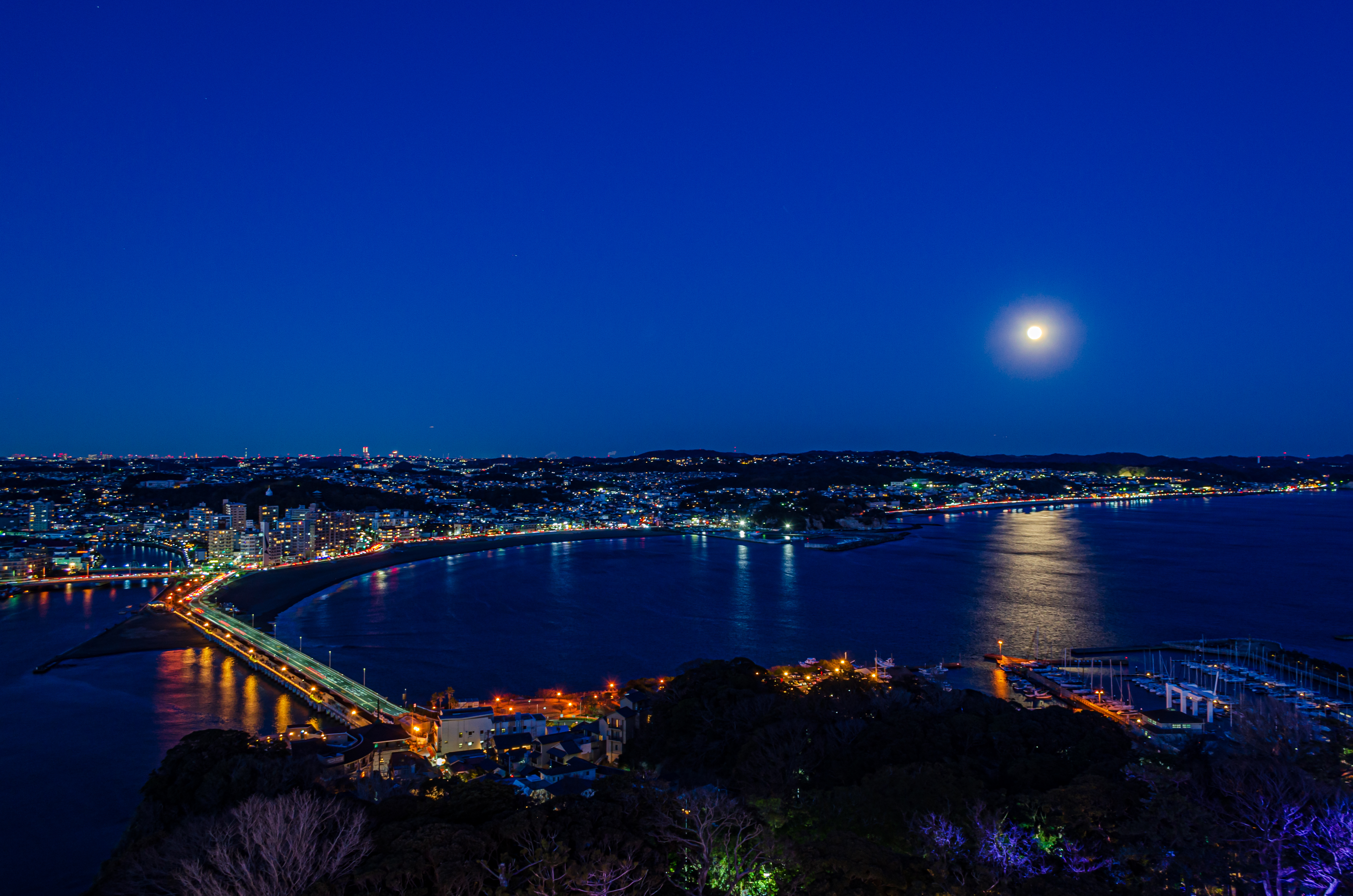 はたちのつどい